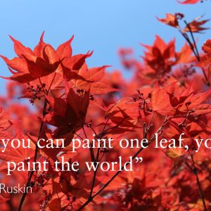 Maple Walk at Brantwood