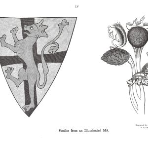 Studies from an Illuminated Manuscript - John Ruskin