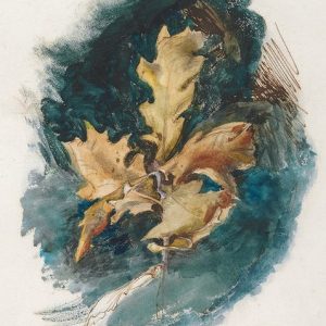 John Ruskin, Study of an Oak Leaf